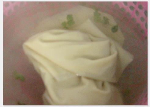香菜拌百叶的做法(香菜豆腐丝)